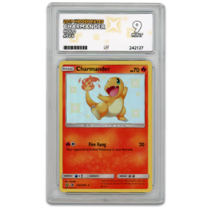 Charmander 2019 Hidden Fates #SV6 Holo - ACE 9