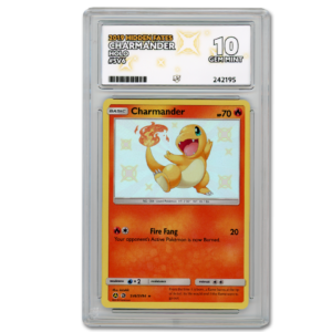 Charmander 2019 Hidden Fates #SV6 Holo - ACE 10
