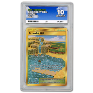 Brooklet Hill 2019 Hidden Fates #SV88 Full Art - ACE 10